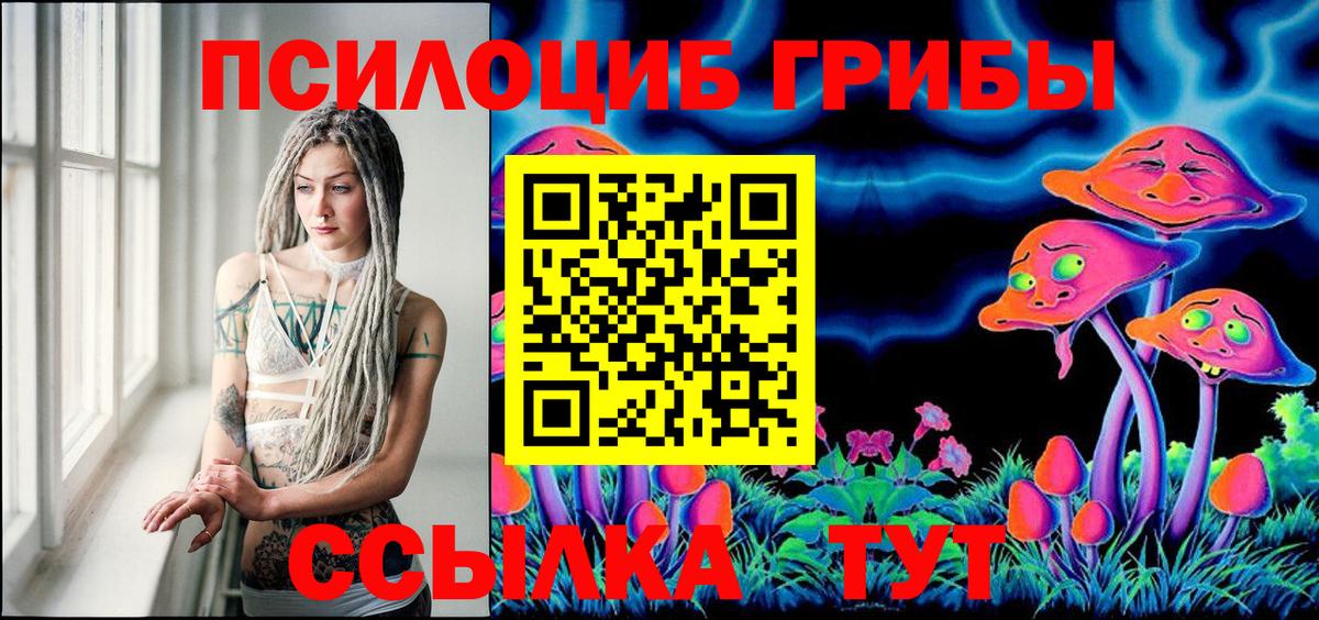 Дзержинск  Псилоцибиновые грибы мухоморы  Псилоцибиновые грибы Psilocybine cubensis  Вход с VPN 